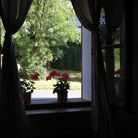 Historicke Apartmany Zelenohorska Posta Nepomuk Bagian luar foto