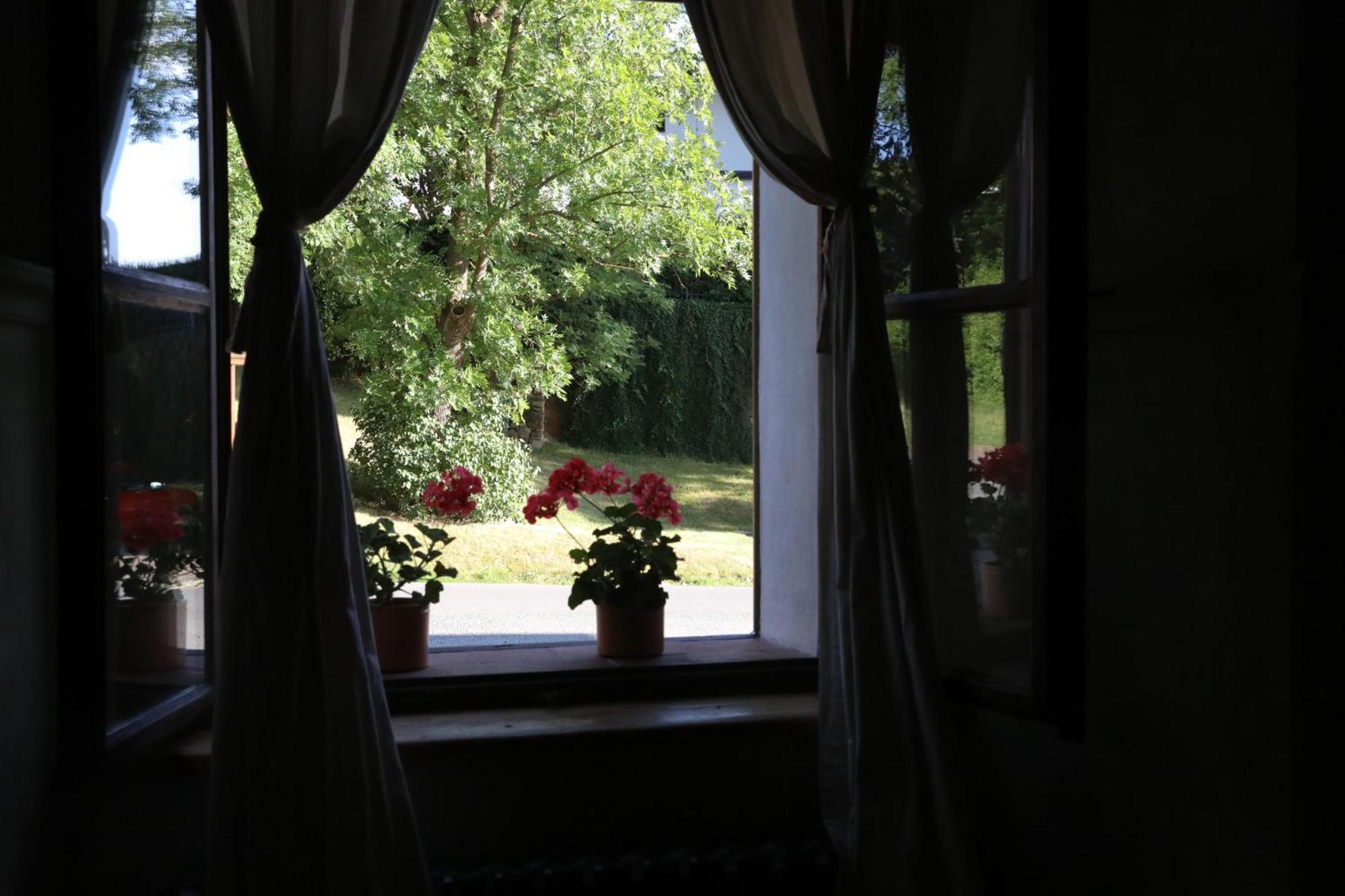 Historicke Apartmany Zelenohorska Posta Nepomuk Bagian luar foto